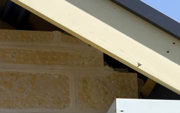 soffit repair Stanner